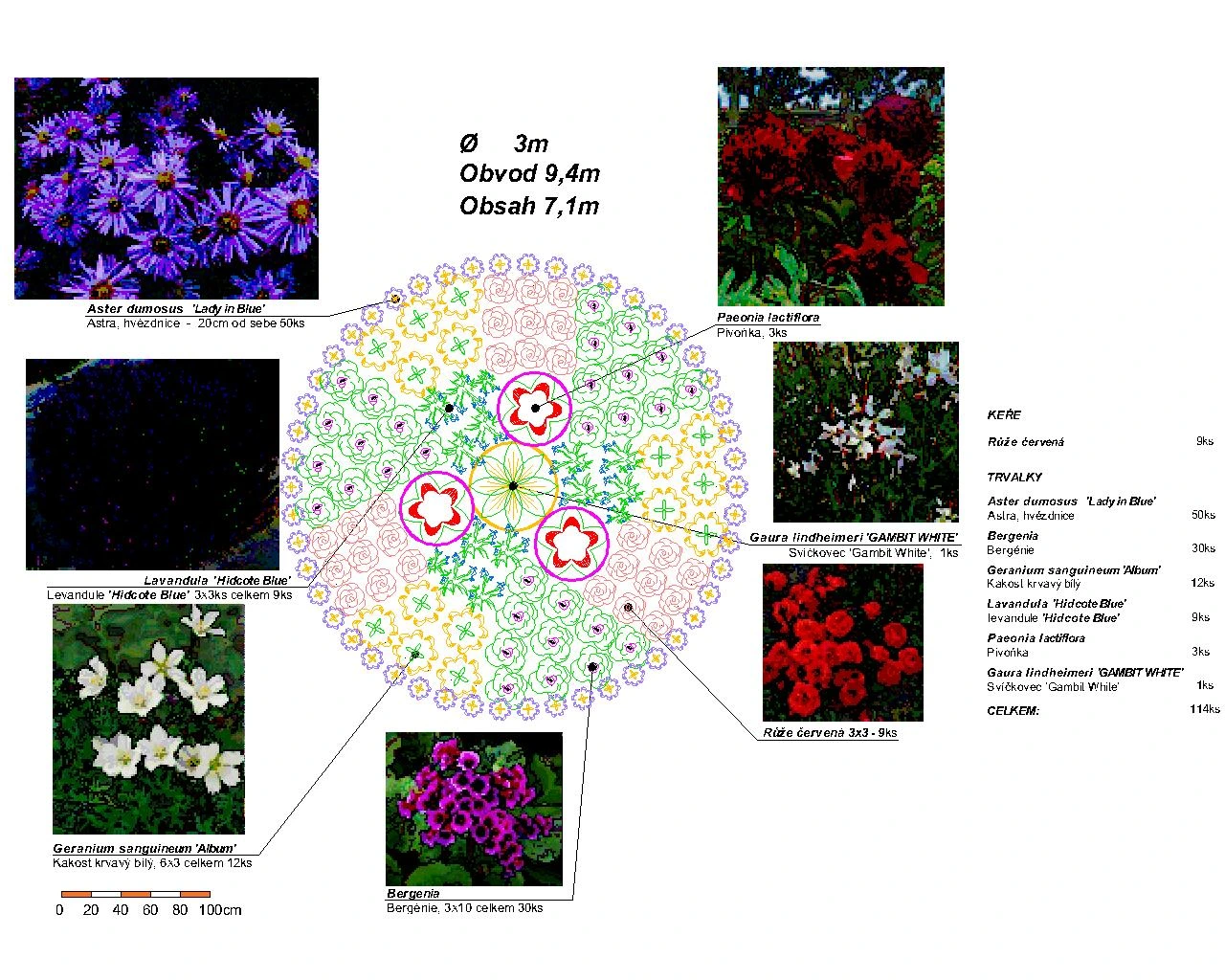Návrh zahrady — Květinový záhon